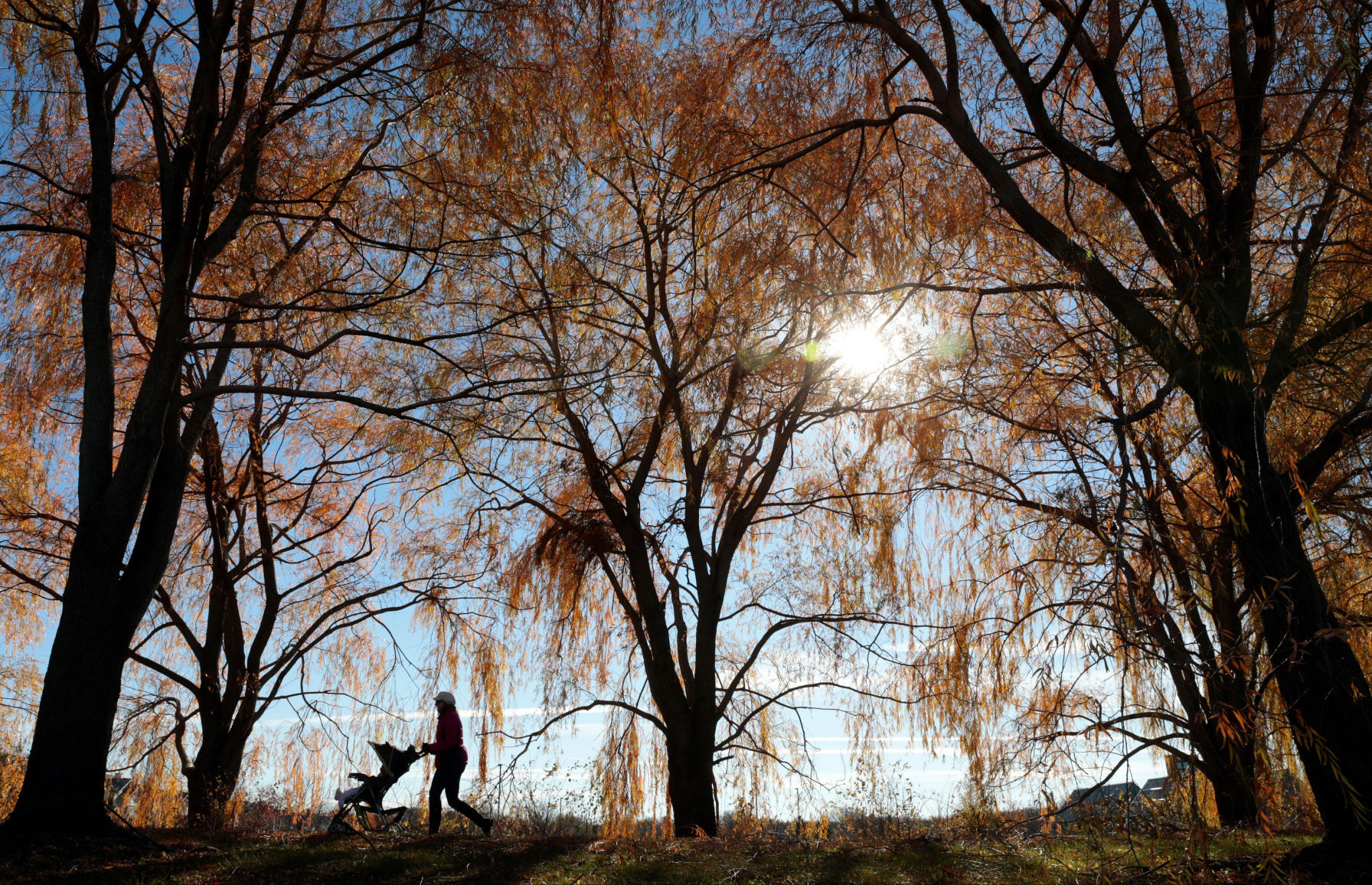 McKee Farms Park